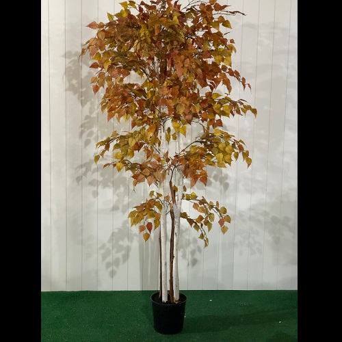 Birch Tree Fall Foliage - Artificial Trees/Floor Plants - Artificial autumn trees for rent